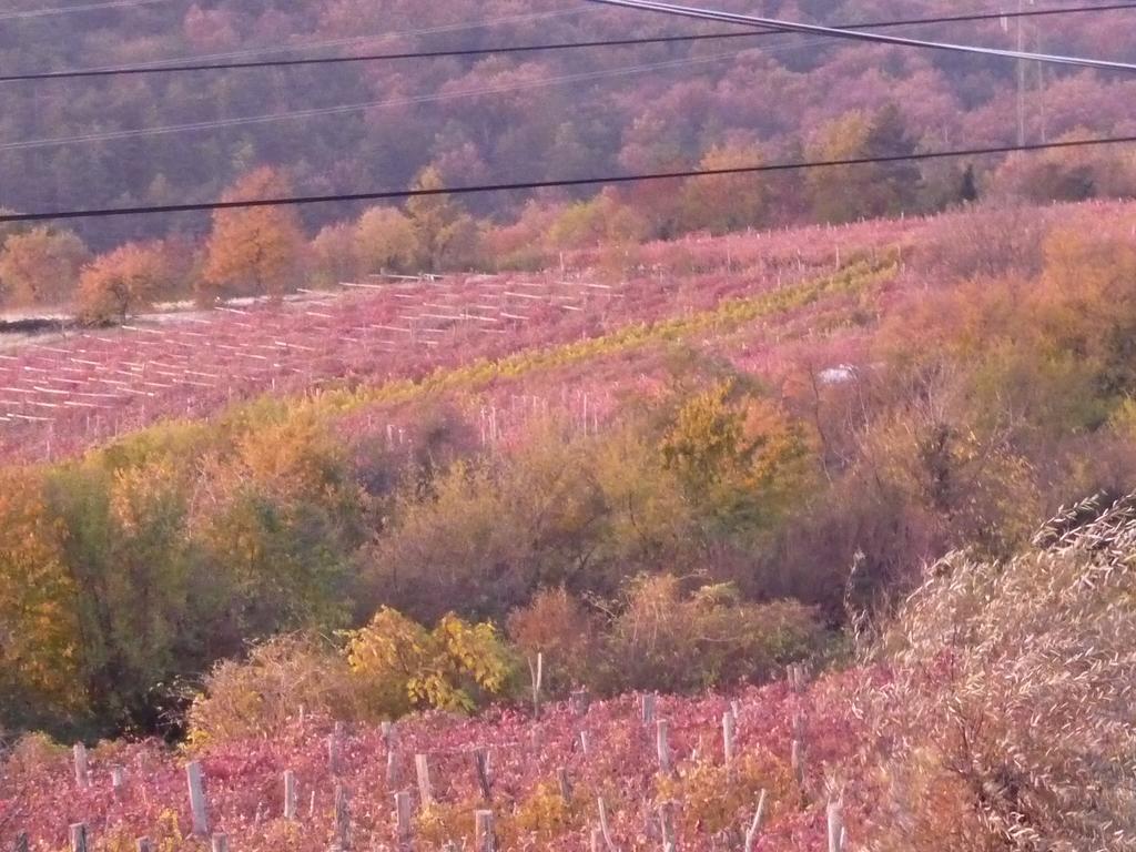 Rozina Vacation House Pliskovica Екстериор снимка